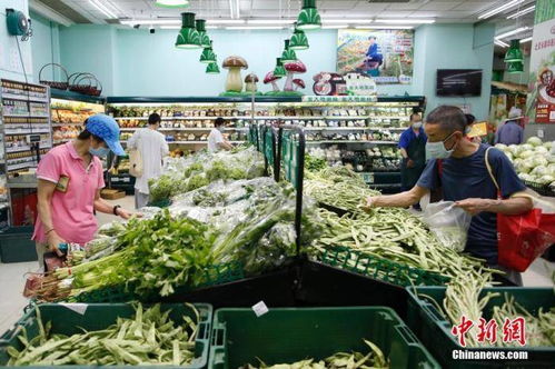 北京七大批发市场蔬菜供应量回升至常态80%以上，市民可安心选购新鲜蔬菜