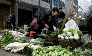 小伙批发蔬菜创业，靠蔬菜零售月入3万元的新鲜生意经